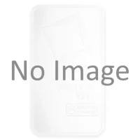 2 Gramm Buy Platinum bars