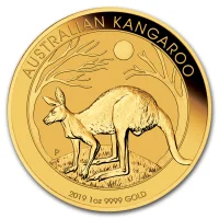 Australian Kangaroo 2019