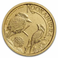 Gold Kookaburra 2023