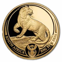 Big Five Serie Silver Coins for Sale