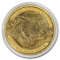 Super Pit Gold Coins for Sale