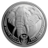 Big Five - Elefant 2020