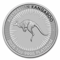 Känguru Buy Platinum coins