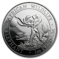 Somalian African Elephant Buy Platinum coins
