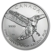 Birds of Prey Silver Coins for Sale