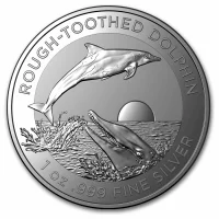 Rough-Toothed Dolphin (2023)