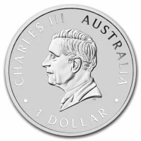 Koala Silver Coins for Sale