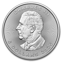Maple Leaf Silver Coins for Sale