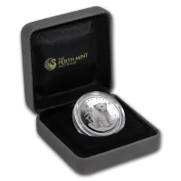 Polar Babies Silver Coins for Sale