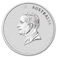 Quokka Silver Coins for Sale