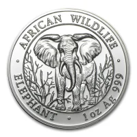 Somalia Elephant 2004