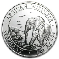 Somalia Elephant 2010