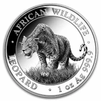 Somalia Leopard Silver Coins for Sale
