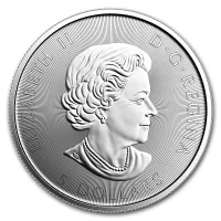 Voyageur Canada Silver Coins for Sale
