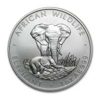 Zambia Elephant Silver Coins for Sale